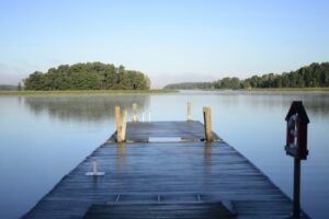brown wooden dock and lake
